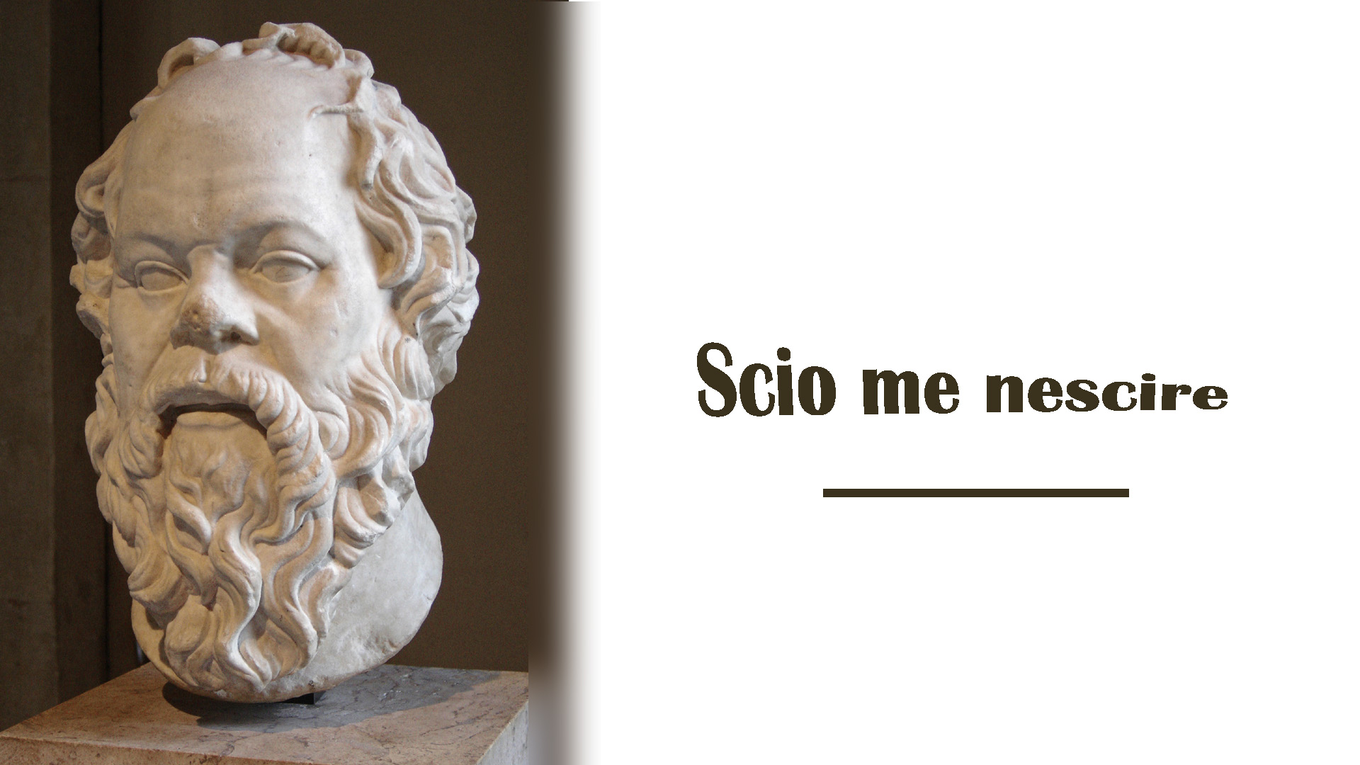 Chi sa non parla, chi parla non sa
